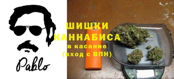 дмт Абаза