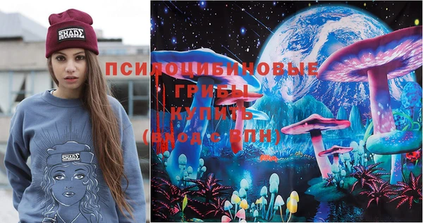 винт Алзамай