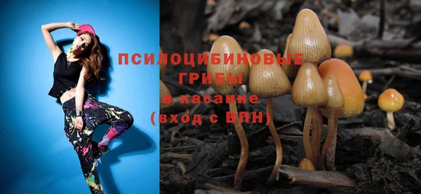 круглые Алексеевка
