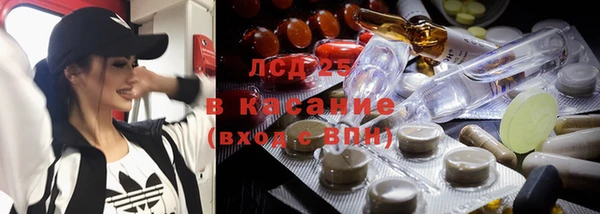 не бодяженный Кукмор