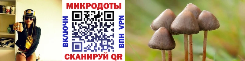 Галлюциногенные грибы Psilocybe  наркошоп  MEGA как зайти  Сураж 